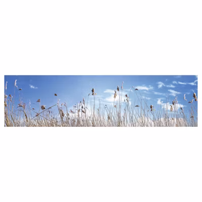 Brise vue imprimé FIN D&rsquo;ÉTÉ, H.0.8 x L.3 m, 100% occultant, Made in France par Scenolia + kit de fixation offert