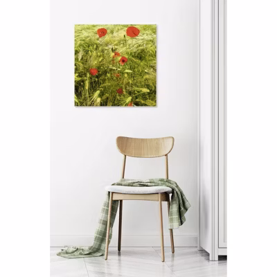 Tableau toile XXL en kit Coquelicots Et Bles 60 x 60 cm – Toile textile sans PVC