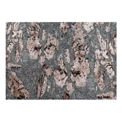 Papier peint intissé panoramique grey stopper 100×70 cm