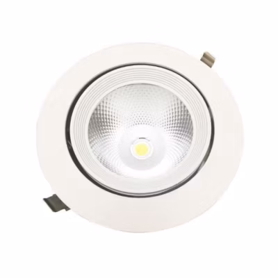 Spot LED Rond Encastrable Orientable COB Blanc 30W – SILUMEN