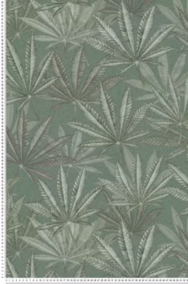 Papier peint vinyle sur intissé Nature L.10.05 x l.0.53 m.  – Réf. AS-399841