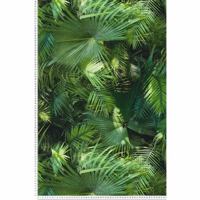 Papier peint Jungle Palm – Vert – A.S. CREATION – 10 x 0,53m – Chambre – A coller – Floral et végétal