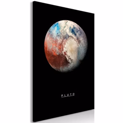 Tableau Pluto (1 Part) Vertical 40×60 cm