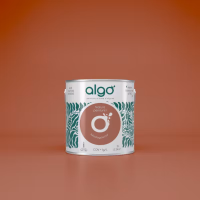Peinture Algo – Terracotta Madagascar – 2L – Mat