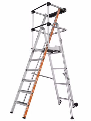Plate-forme individuelle RAPTOR 4 marches GC sangle – Lot de 2 – Tubesca Comabi