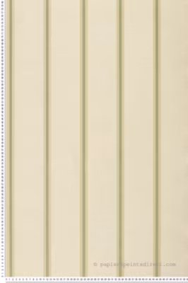 Papier peint vinyle sur intissé Classique L.10.05 x l.0.53 m.  – Réf. MC-25765