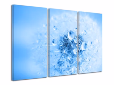 DECLINA, Tableau toile imprimée Zen, Tableau Rosée du Matin, 150×100 cm