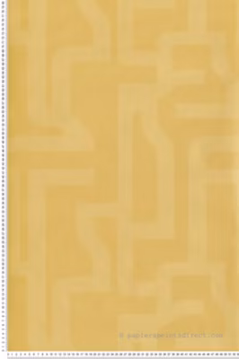 Papier peint vinyle sur intissé Géométrique L.10.05 x l.0.53 m.  – Réf. LTC-51201102