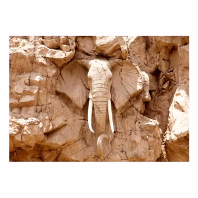 Papier peint intissé panoramique paysage stone elephant (south africa) 100×70 cm
