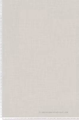 Papier peint vinyle sur intissé Uni L.10.05 x l.0.53 m.  – Réf. SP14687