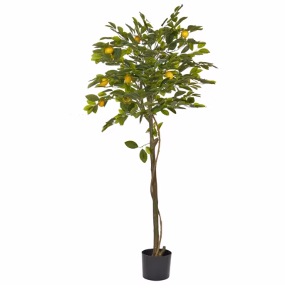 Plante artificielle LEMON TREE 156 cm Vert
