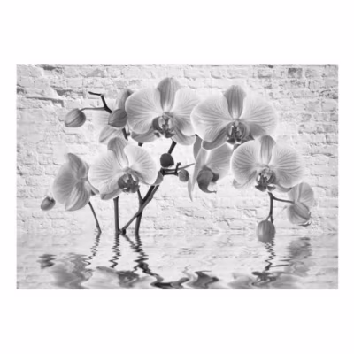 Papier peint intissé panoramique fleurs orchid in shades of gray 100×70 cm
