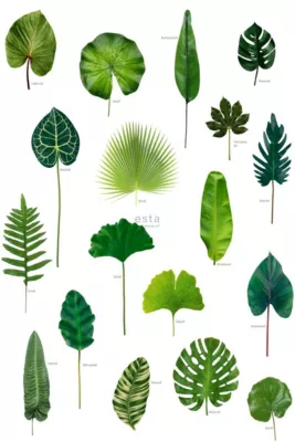 ESTAhome papier peint panoramique feuilles tropicales vert jungle tropicale 200 x 279 cm