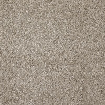 Moquette Lumicolor Marron tendre – Rouleau de 5m x 21m