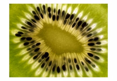 Papier peint intissé panoramique motifs de cuisine fruits: kiwi 200×154 cm