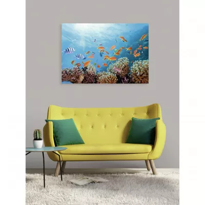 Tableau verre acrylique Fond Marin 130 x 90 cm – Décoration murale photo pour la maison