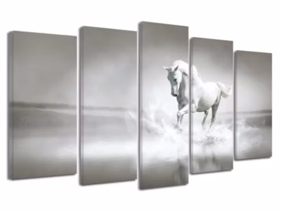 DECLINA, Tableau toile imprimée, animaux, Tableau toile photo CHEVAL BLANC, 220×120 cm