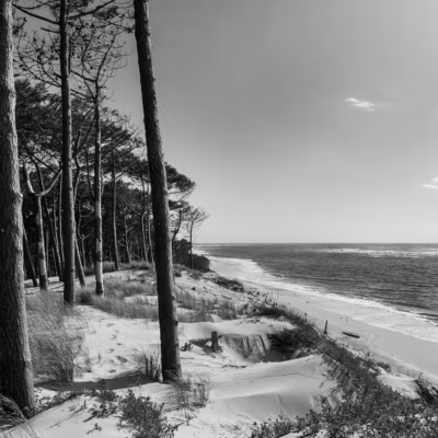 Tableau sur toile bassin d&rsquo;arcachon noir et blanc 30×30 cm Fabriqué en France