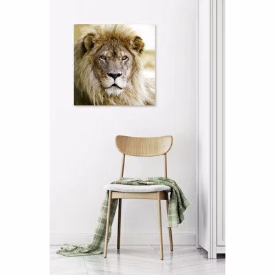 Tableau verre acrylique Lion 60 x 60 cm – Décoration murale photo pour la maison