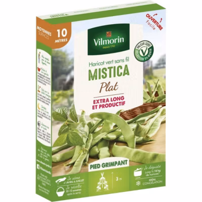 Graines de Haricot vert sans fil MISTICA plat – 10 mètres – vilmorin