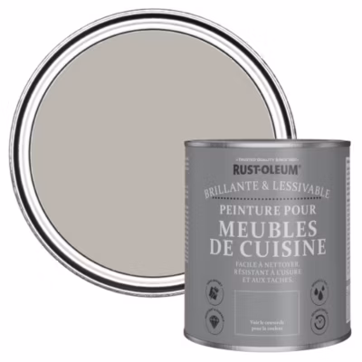 Peinture Grise pour Meubles de Cuisine, Brillant – RUST-OLEUM – Grenoble 750ml