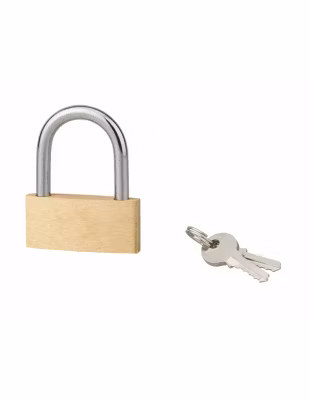 Cadenas BASIC à clé, base 50 mm, anse acier, 2 clés – SP